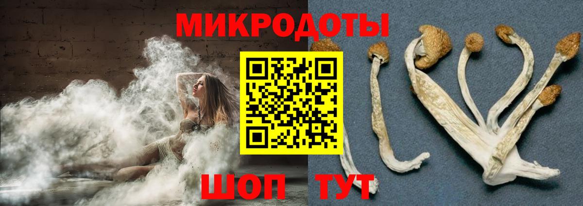 Галлюциногенные грибы Cubensis  даркнет сайт  Санкт-Петербург  Вход с VPN  Галлюциногенные грибы GOLDEN TEACHER 